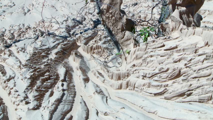 Semi-Barren Nature Landscape In Indiana Dunes National Park, USA. Tilt-up Shot