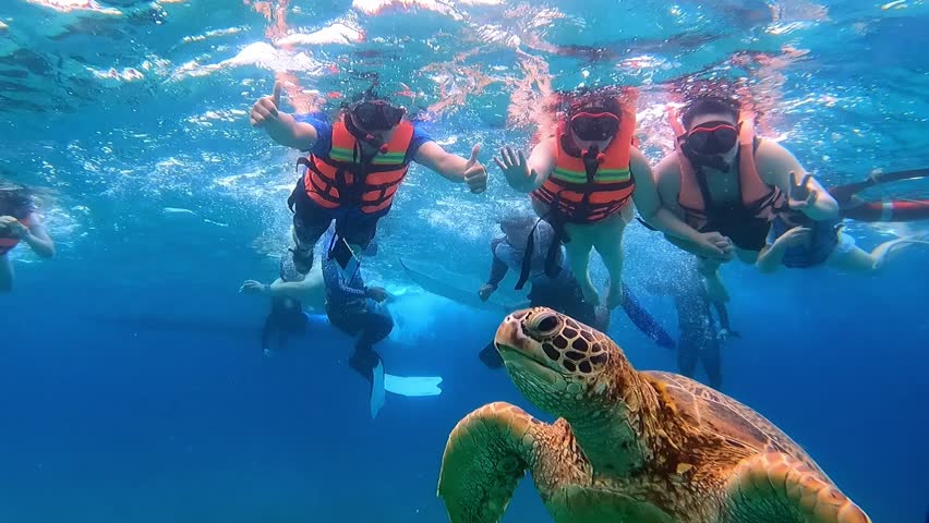 Group of snorkelers swimming alongside a majestic green sea turtle, capturing unforgettable moments in a vibrant underwater paradise.