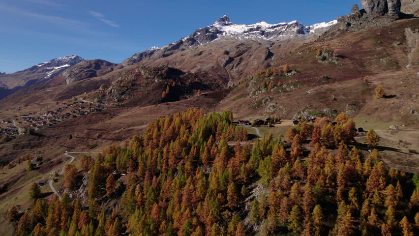 Aerial of conifer trees on a mountain in autumn, Lötschental, Switzerland