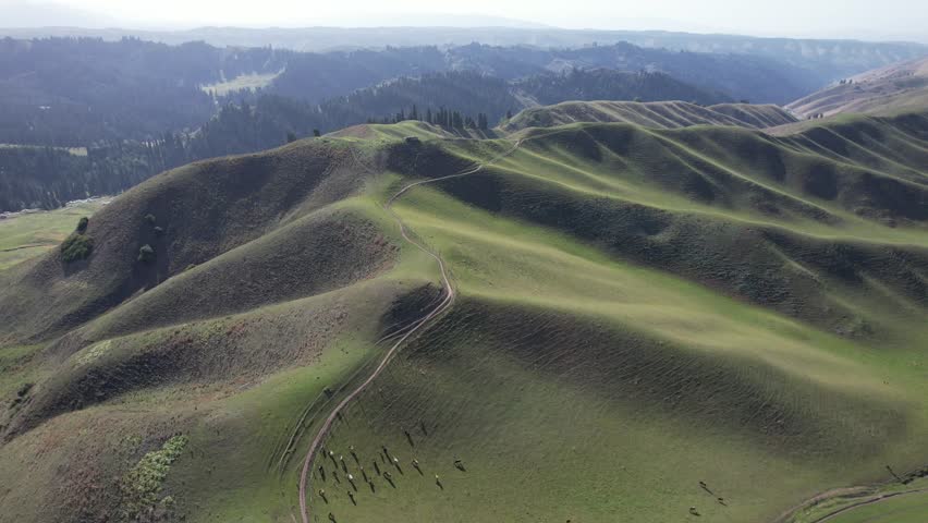 Aerial phooraphy of mountins,rassland and forests in Xinjiang Povine in western China