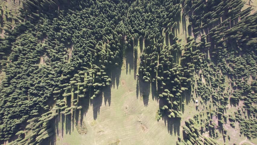 Aerial phooraphy of mountins,rassland and forests in Xinjiang Povine in western China