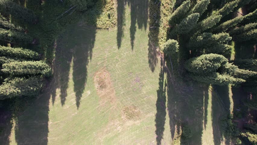 Aerial phooraphy of mountins,rassland and forests in Xinjiang Povine in western China