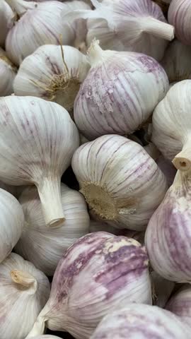 Fresh garlic bulbs in a pile with purple streaks, showcasing natural food concept video