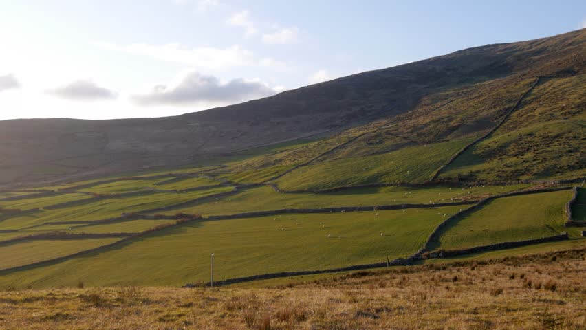 Gently sloping hills covered in patchwork green fields stretch under broad sky near Dublin, Ireland, evening light casting long shadows across peaceful rural landscape