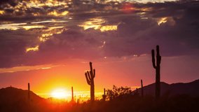 The sun sets behind the silhouetted saguaro cacti in the arizona desert - Powered by Shutterstock - Get 15% off with code: PIKWIZARD15