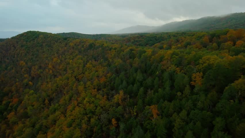 An aerial view of a forest in the mountains under a cloudy sky