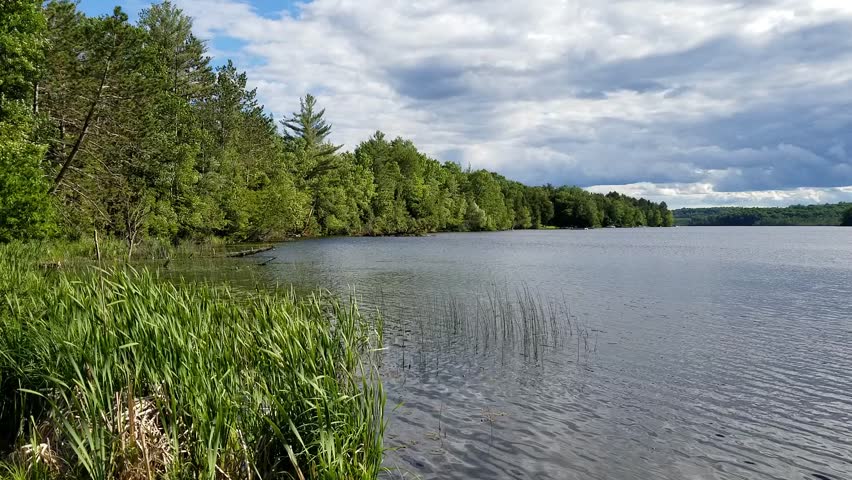 Time lapse of a Northern Wisconsin lake with clouds drifting overhead and small waves moving toward shore, gently stirring shoreline vegetation in a peaceful setting.