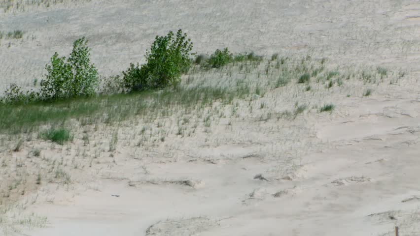 Deserted Sand Dune Landscape Of Indiana Dunes National Park, USA. Static Shot