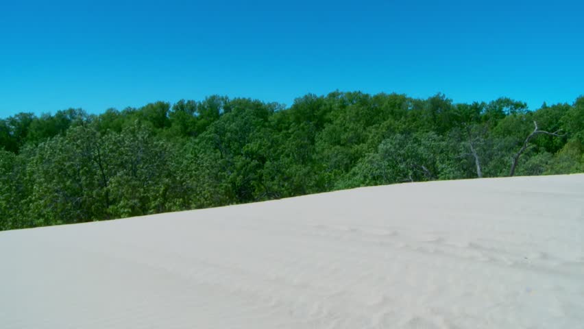 Dense Trees And Sand Dunes At The Indiana Dunes National Park In The United States. Wide Shot
