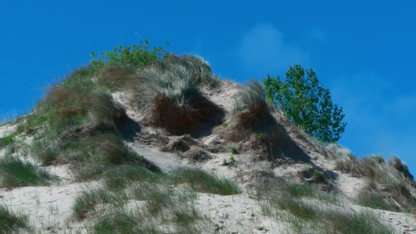 Dry sand dune with scattered grass and sparse vegetation, under clear blue sky, static shot, Indiana Dunes National Park, USA