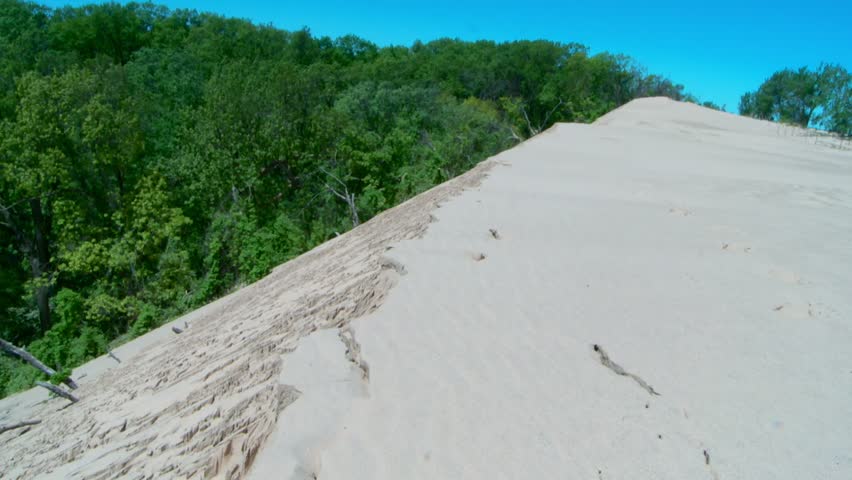 Sand Dunes And Dense Forest In Indiana Dunes National Park In USA. - pan left shot
