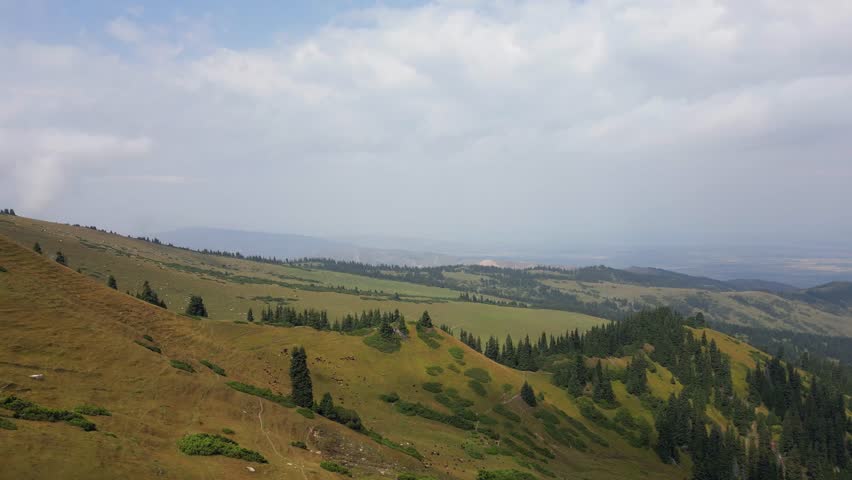 Green grassy hills with forest below.