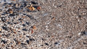 sand and sea pebbles in the surf - Powered by Shutterstock - Get 15% off with code: PIKWIZARD15