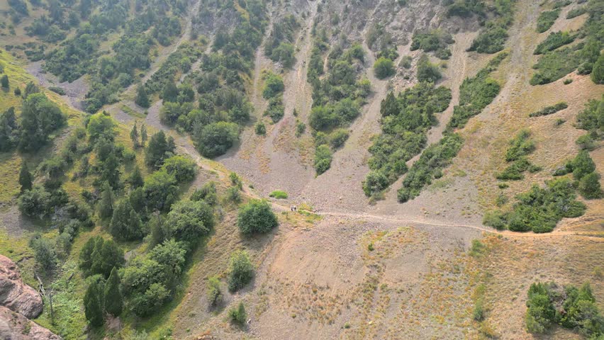 A steep, tree-covered cliff with a footpath winding across it.