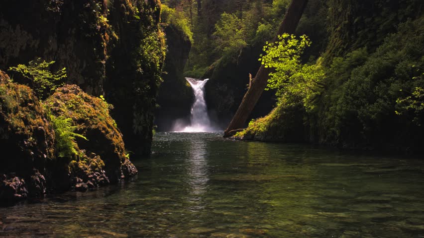 Remote waterfall flows into tranquil clear pool nestled between moss-covered cliffs and dense green forest in County Wicklow Ireland, evoking wilderness and peaceful natural beauty