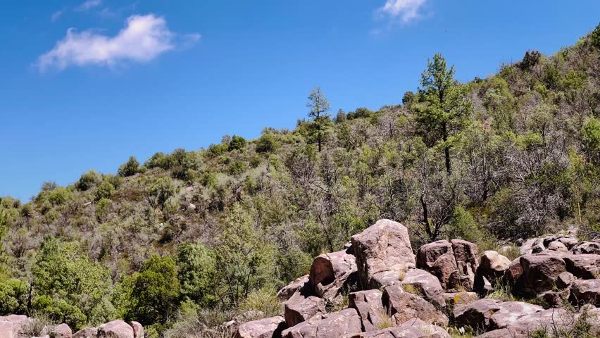 Water Wheel Falls, Payson Arizona