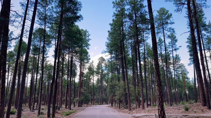 Payson Arizona, Ponderosa Campground, walk through 