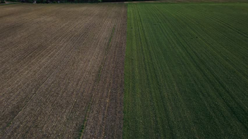 Drone view of farmland contrast with a harvested brown field next to a lush green crop field, showing seasonal change, rural landscape, and agricultural diversity
