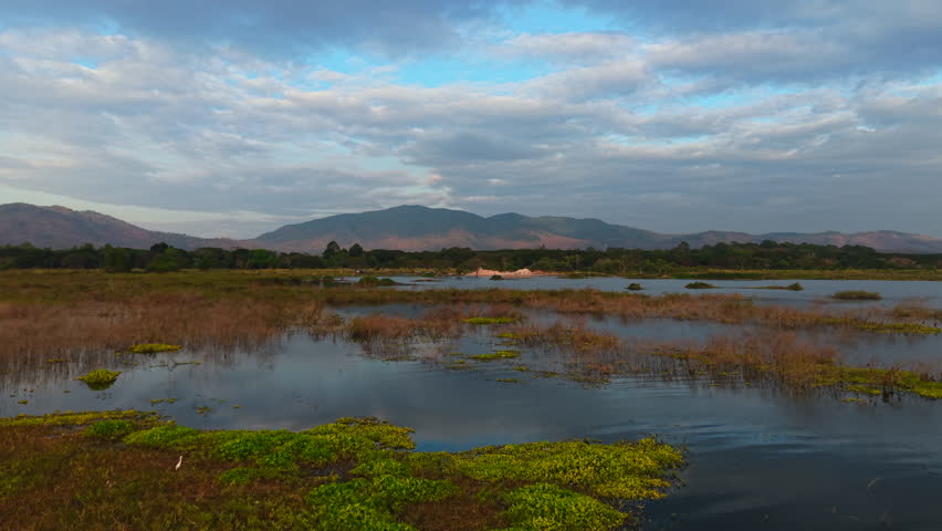 wetland landscape with calm waters green vegetation distant mountains under a partly cloudy sky evoking peace and natural beauty