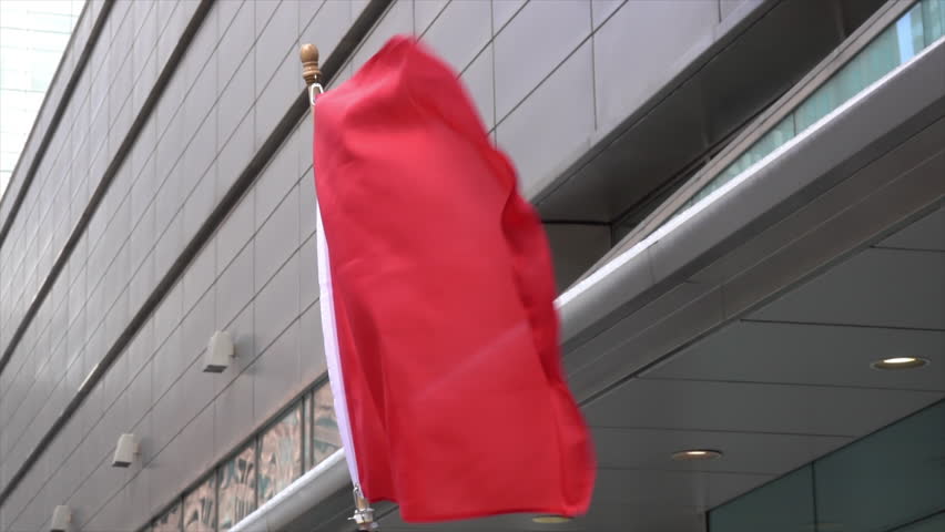 Red flag is flown at leftist protest.