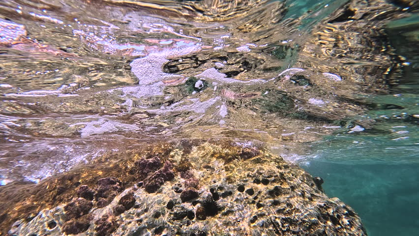 Tranquil underwater view of rocky reef with light reflections and gentle surface waves. Perfect for marine biology, snorkeling, conservation, cinematic footage, and abstract water visuals.