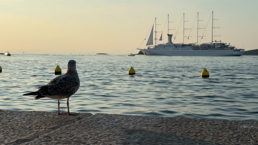 A seagull stands on the pier as a majestic cruise ship sails by during sunset in Rovinj, Croatia. Calm Adriatic waters reflect warm evening light.