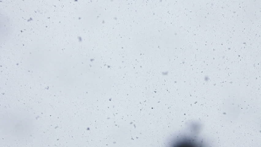 Snow Texture Falling Directly On Stock Footage Video 100 Royalty Free Shutterstock