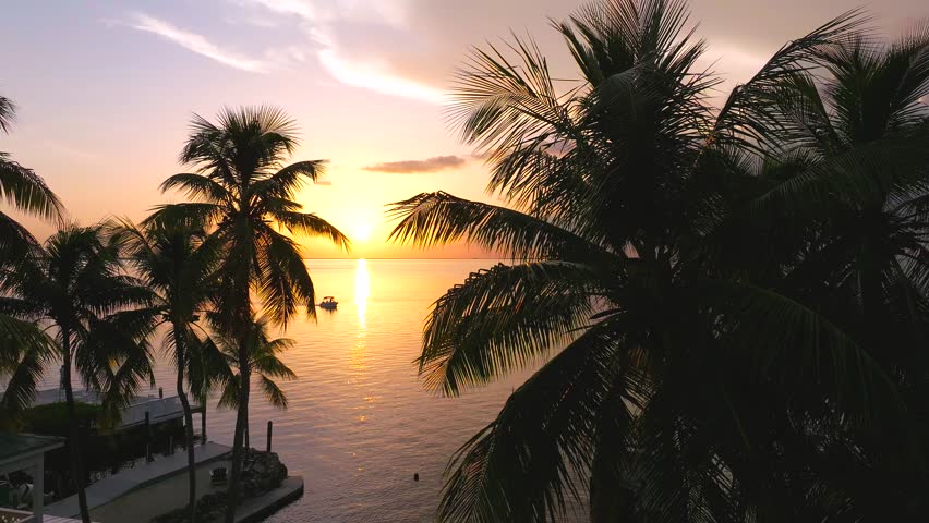 Aerial view of a boat sailing through the tranquil waters as the sun sets, casting a golden glow over the palm trees, Key Largo, Florida, United States.