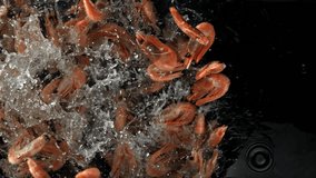 The shrimps fall into the water. Filmed on a high-speed camera at 1000 fps. High quality FullHD footage - Powered by Shutterstock - Get 15% off with code: PIKWIZARD15