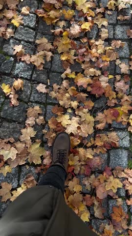 A first-person view of a foot stepping on colorful autumn leaves scattered on a cobblestone path in Saxony, Germany.
