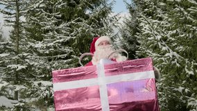Cheerful portrait of Santa Claus with big gift box walking in winter forest with Christmas trees smiling at camera. - Powered by Shutterstock - Get 15% off with code: PIKWIZARD15