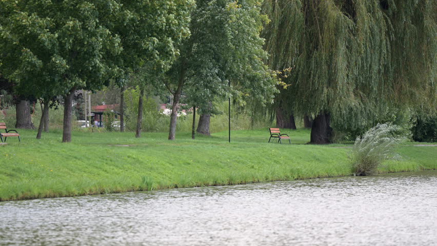 Park benches by a calm lakeside under green trees