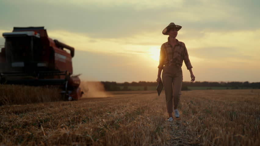 Woman farmer in huge wheat field in harvesting season, machinery moving near. Self-confident and successful business woman, agro industry and food production, agribusiness and agronomy, full-length