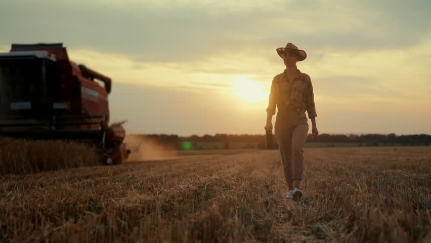 Woman farmer in huge wheat field in harvesting season, machinery moving near. Self-confident and successful business woman, agro industry and food production, agribusiness and agronomy, full-length