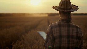 Agriculture and agribusiness, female farmer dreaming about future harvest. Summertime in country, following shot with slender woman in straw hat walking in farmland with growing cereals, back view - Powered by Shutterstock - Get 15% off with code: PIKWIZARD15