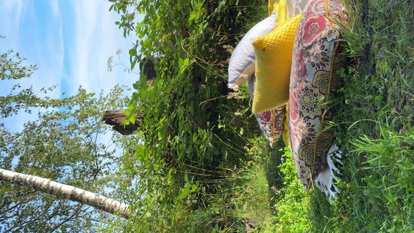 Summer picnic by the lake with fresh fruits, wine, grilled food, cozy pillows, and sunset atmosphere. Perfect outdoor lifestyle and relaxation moments