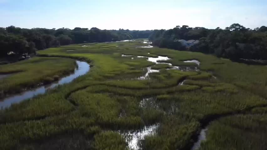 Marsh Flyover on a Sunny Day