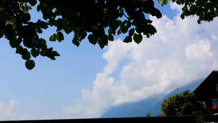 Leafy Viewpoint Toward Blue Skies and Alpine Peaks. Switzerland, August 16, 2025