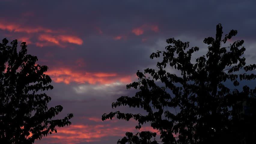 Silhouetted trees frame a dramatic twilight sky with deep blue clouds and vivid streaks of red, purple, and orange over a serene evening horizon as the light fades into nightfall