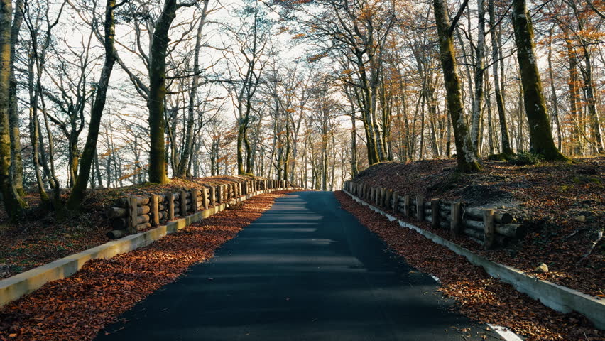 Mountain Road Leading to the Pass in Autumn with Orange Leaves on the Sides