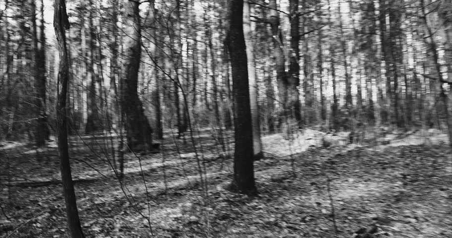 Historical Re-enactment Black And White Video. Russian Soviet Infantry Red Army Soldiers Of World War II with weapons Running On Forest Battlefield in attack.