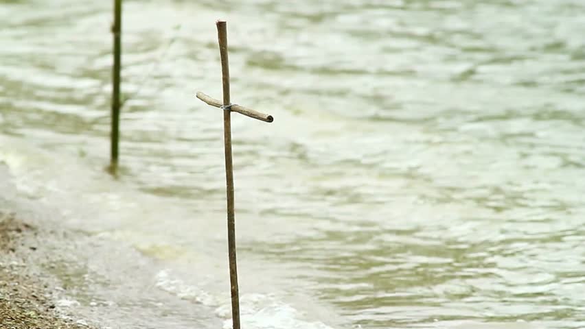 Bamboo sticks stand in the water along the shoreline