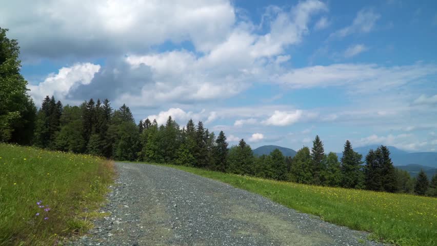 A gravel path winds through a grassy meadow with trees