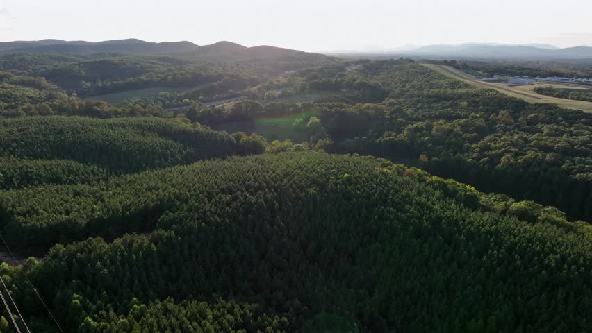 Drone flight over green forest landscape at sunrise in America. Wide shot. Peaceful and charming landscape. Peak and summits in distance.