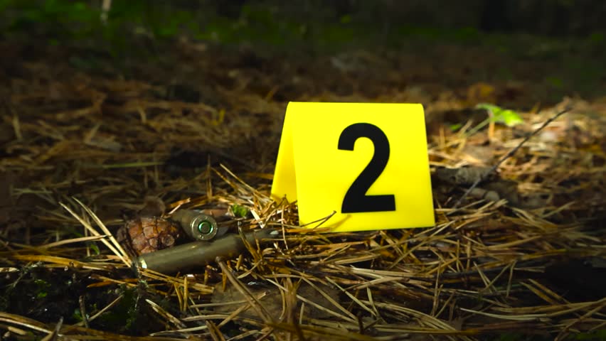 Close up low angle view gliding over and in front of yellow police crime scene investigation markers placed next to fired bullets or ammo on a forest ground filled with pine needles and foliage, day.