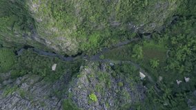 Top-down drone footage descending over a lush green karst peak, revealing the intricate textures of the jungle canopy. An abstract and natural video background. - Powered by Shutterstock - Get 15% off with code: PIKWIZARD15