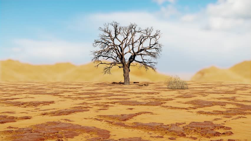 3D Animation of a dry leafless tree standing alone on sandy desert ground with scattered rocks. The background shows blurred sand dunes and soft cloudy sky.