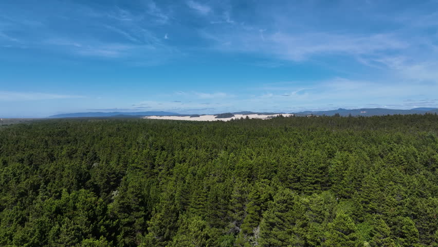 Aerial view over forest toward the Oregon Dunes at the National Recreation Area
