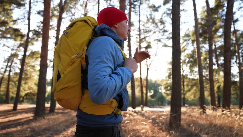 Hiker walks through pine forest carrying yellow backpack and wearing red beanie and blue jacket while sunlight filters through autumn tree and grass on nature trail and tall trunk shadow along path