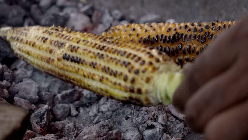 Sweet corn Grill , sweet corn cooking on charcoal, ripe corn cobs grilled sweetcorn for food vegan dinner or snack, street food in India